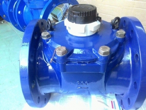 ĐỒNG HỒ ĐO LƯU LƯỢNG NƯỚC SENSUS WPD50
